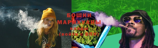 индика Белоозёрский