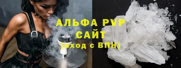 индика Белоозёрский
