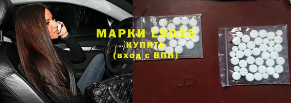 индика Белоозёрский