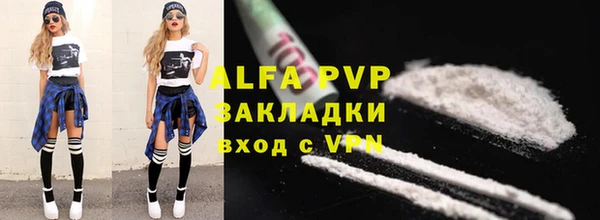 индика Белоозёрский
