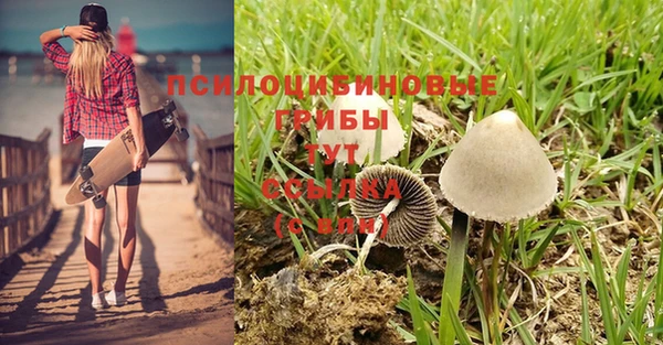 марки lsd Богданович